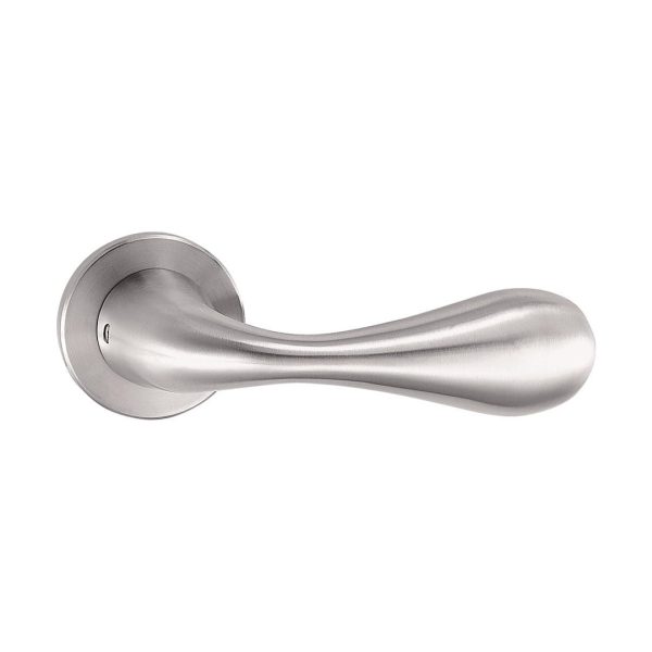 Stainless Steel Solid Lever Handles On Rose