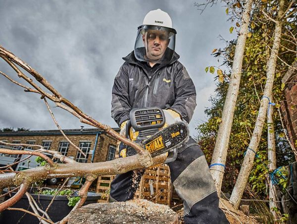 18V XR BRUSHLESS 30CM CHAINSAW - Image 6
